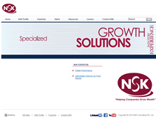 Tablet Screenshot of nsk-consulting.com